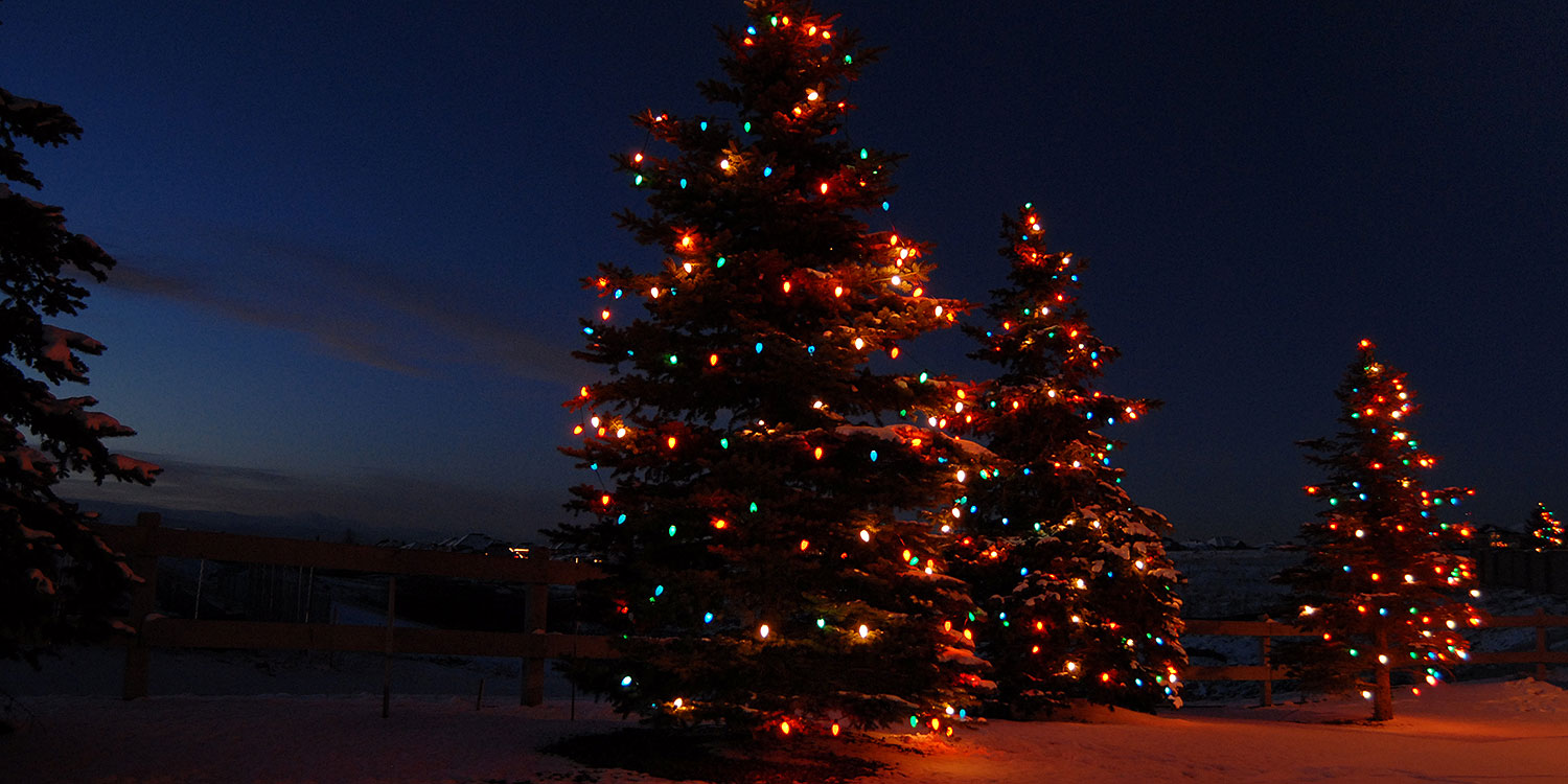 2006-11-30-lone-heritage03