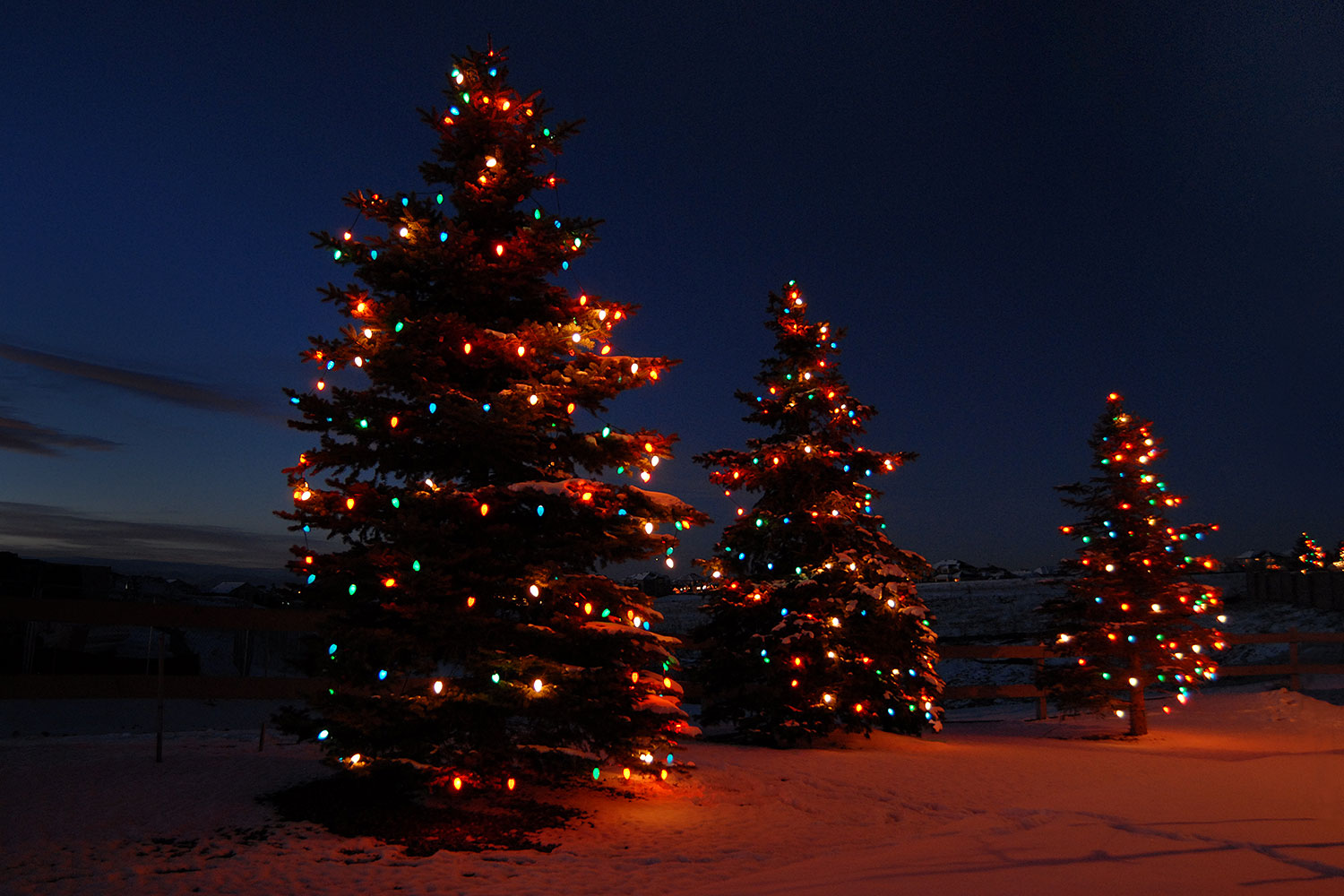 2006-11-30-lone-heritage04