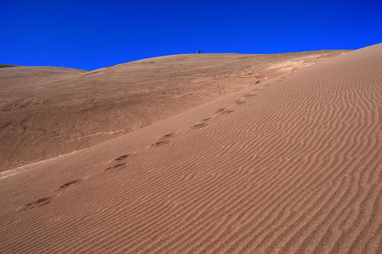 2007-04-14-sand-dunes09