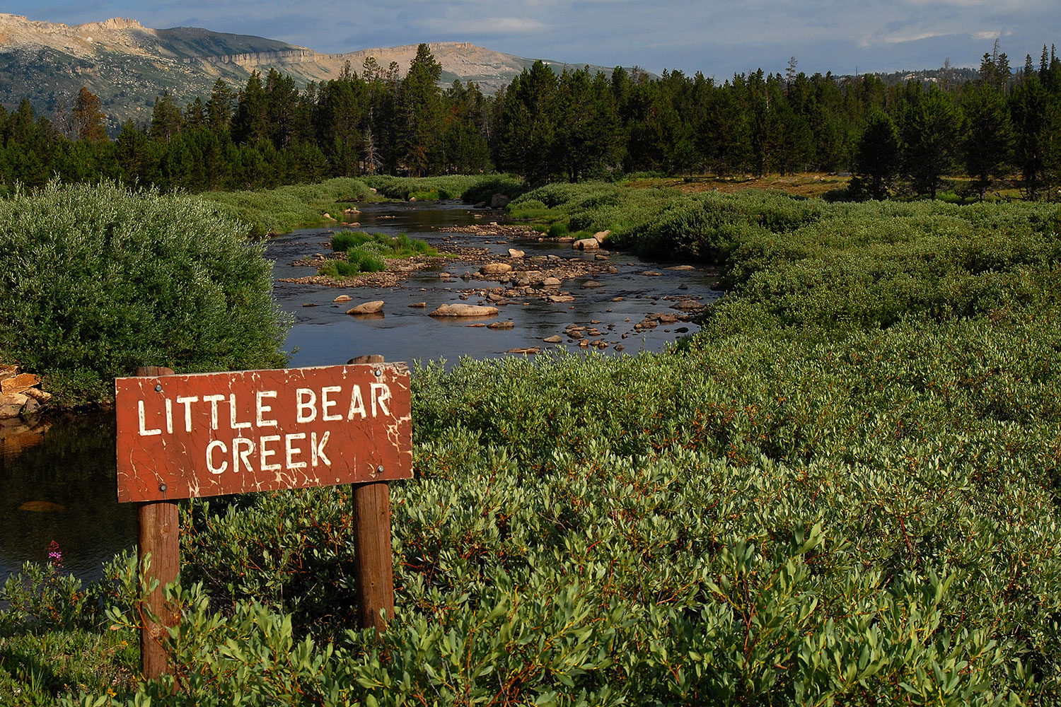 2007-07-26-mt-bear-creek-si1