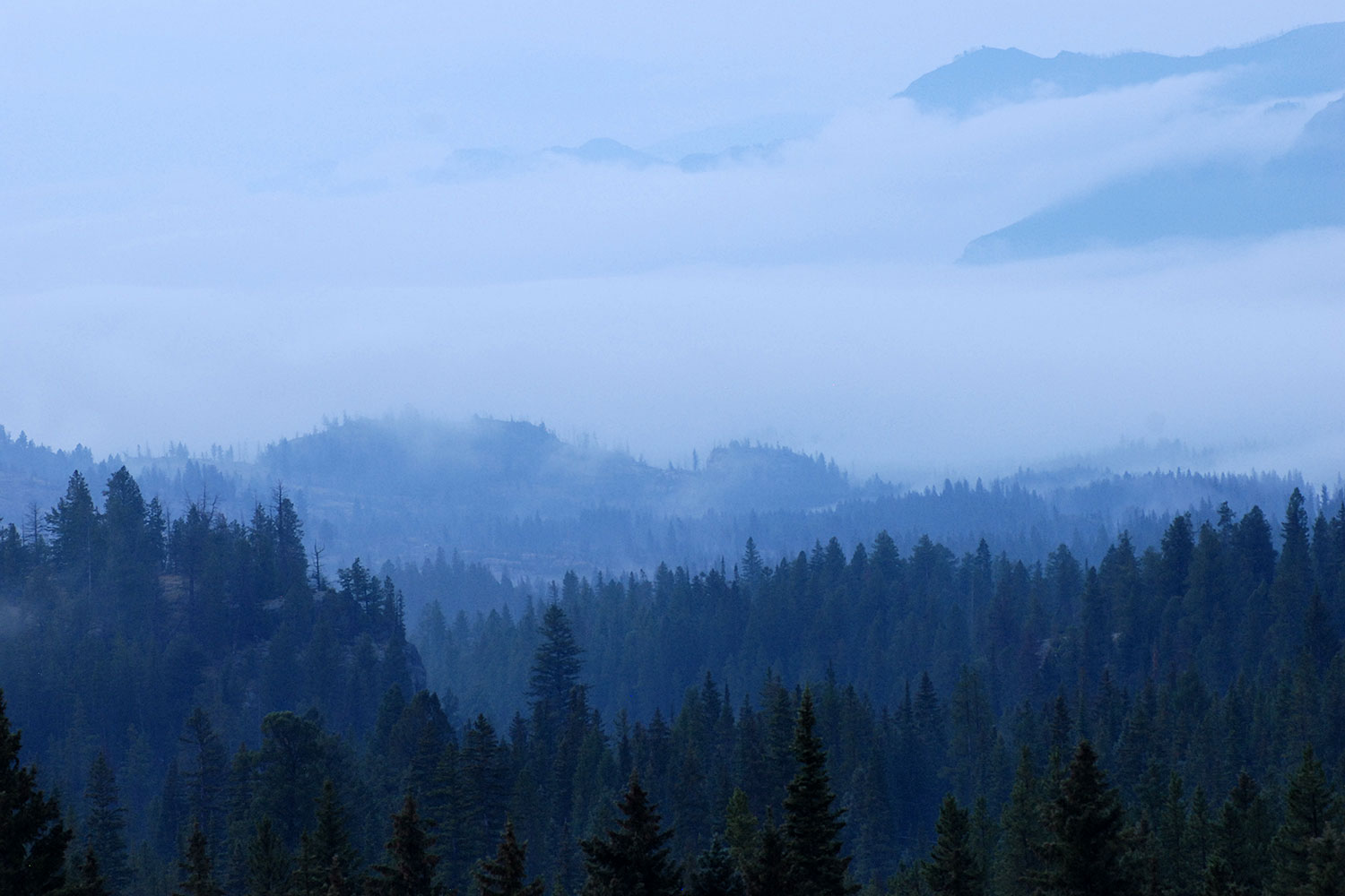 2007-07-26-mt-bear01