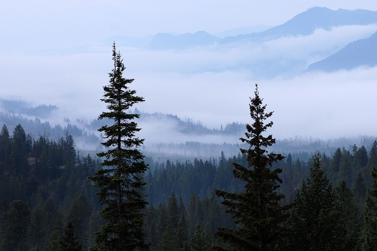 2007-07-26-mt-bear04