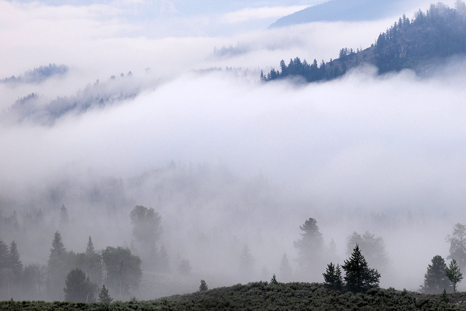 2007-07-26-mt-bear07