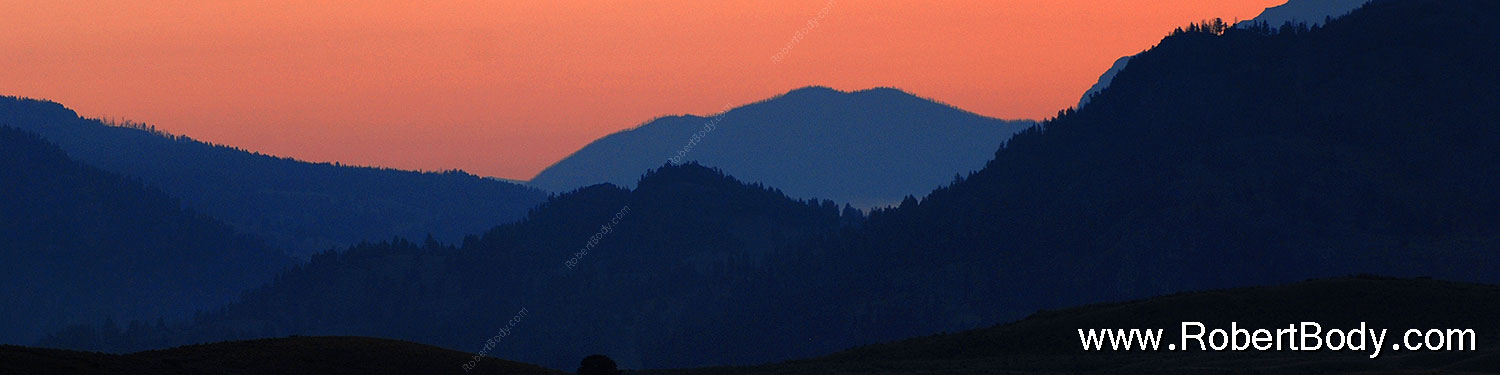 2007-07-28-y-morn-4254-sp