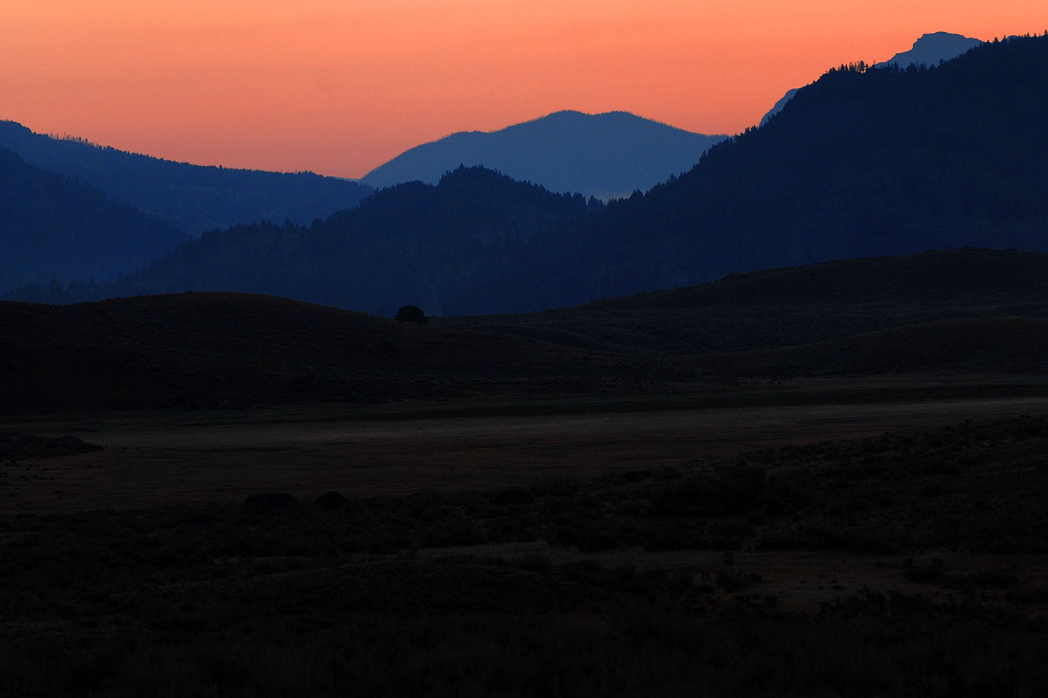 2007-07-28-y-morn-4254