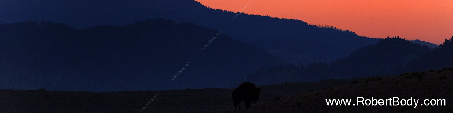 2007-07-28-y-morn-4319-sp