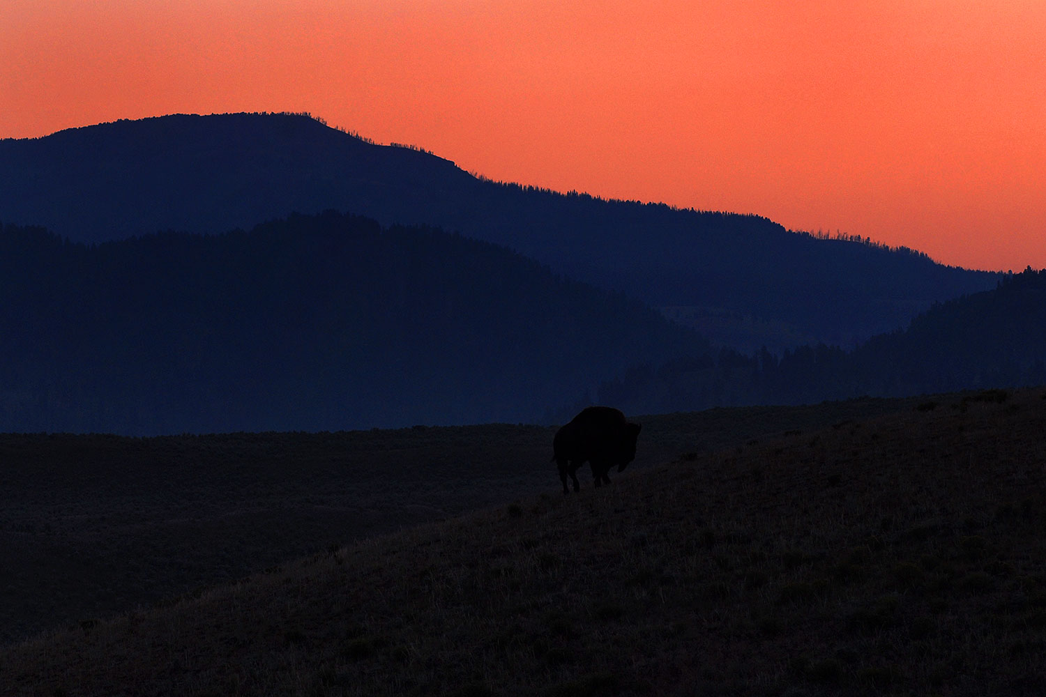 2007-07-28-y-morn-4319