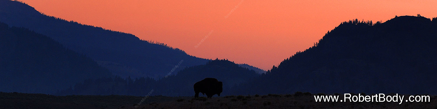 2007-07-28-y-morn-4333-sp