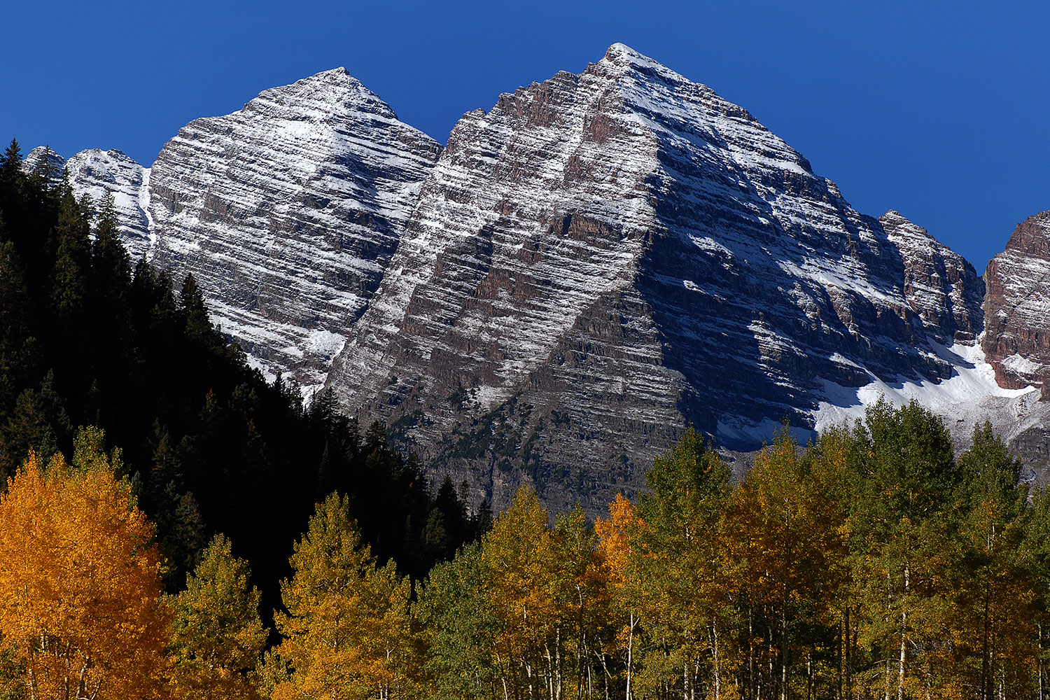 2007-09-25-mar-trees-4428