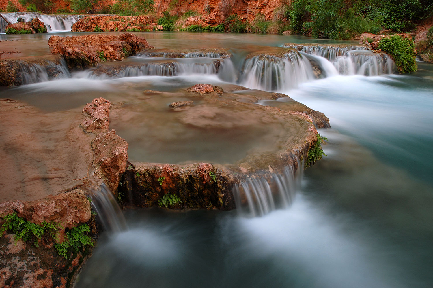 2008-04-20-hav-creek-3926