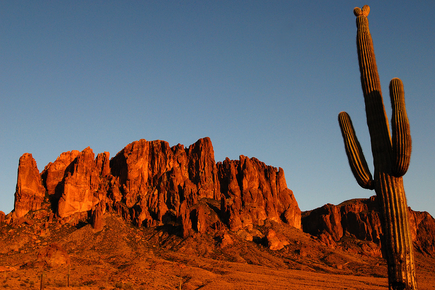 2008-05-04-supers-6830