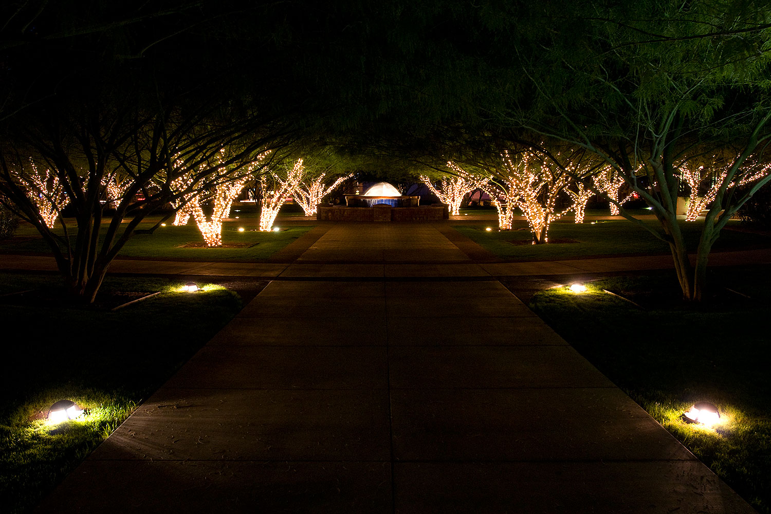 2008-12-06-phoenix-fountain-60494