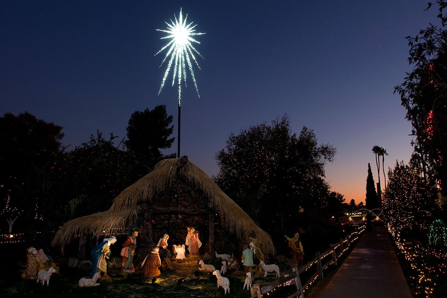 2008-12-28-mesa-temple-display-68623