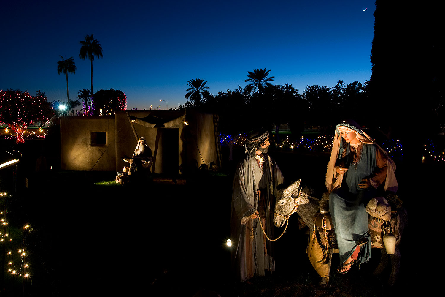 2008-12-29-mesa-temple-display-69151
