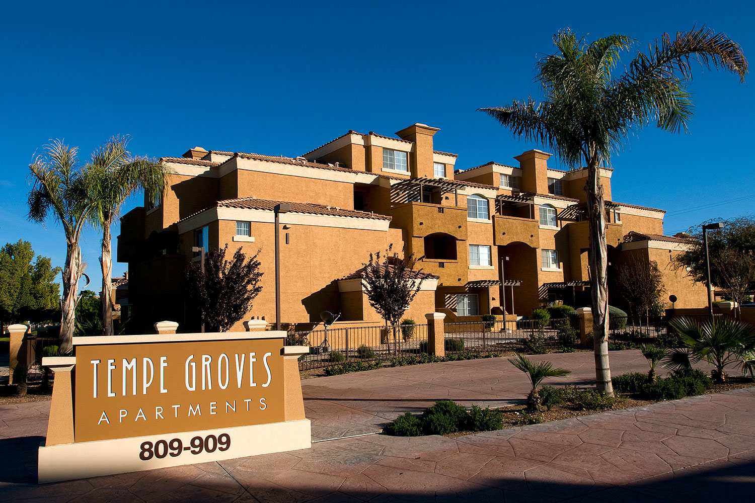 2008-12-29-tempe-groves-68852