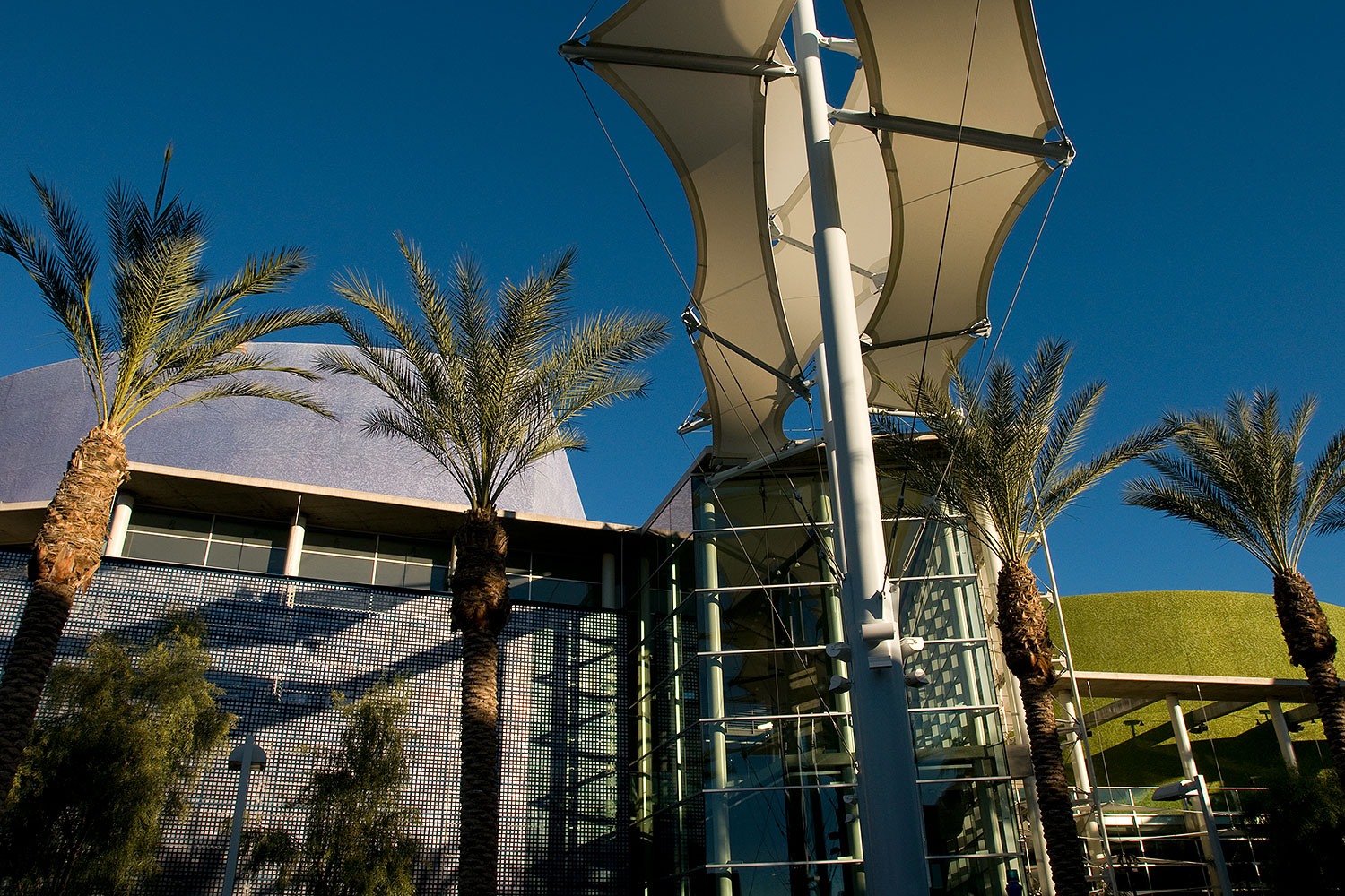 2008-12-30-mesa-arts-69628