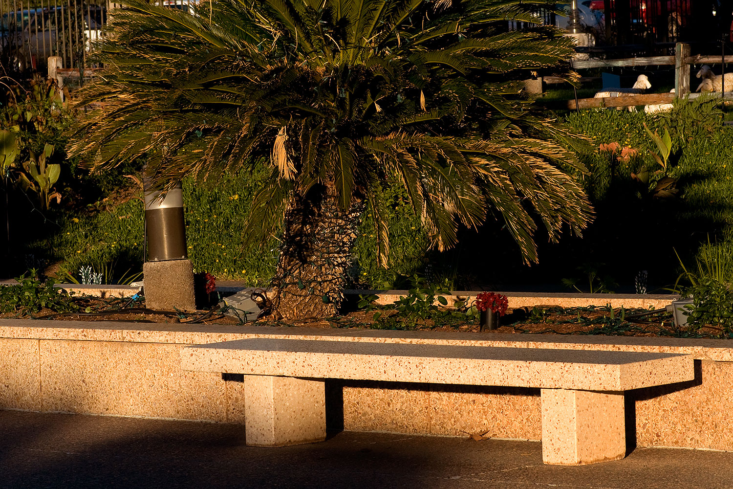 2008-12-30-mesa-temple-bench-69703