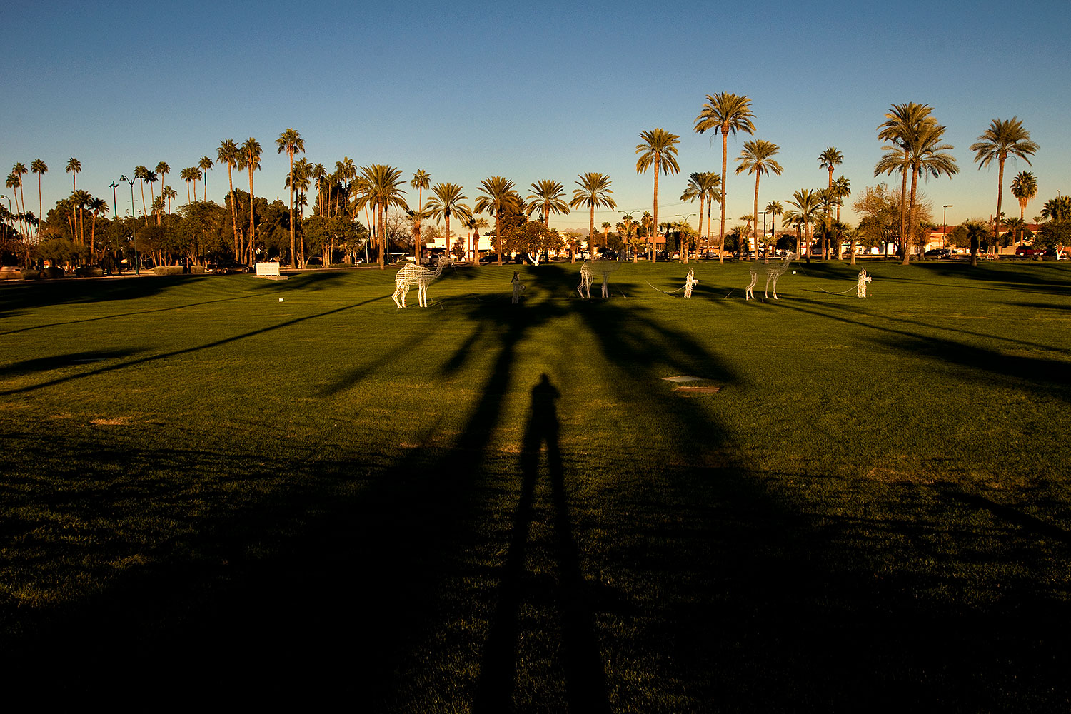 2008-12-30-mesa-temple-caravan-69694