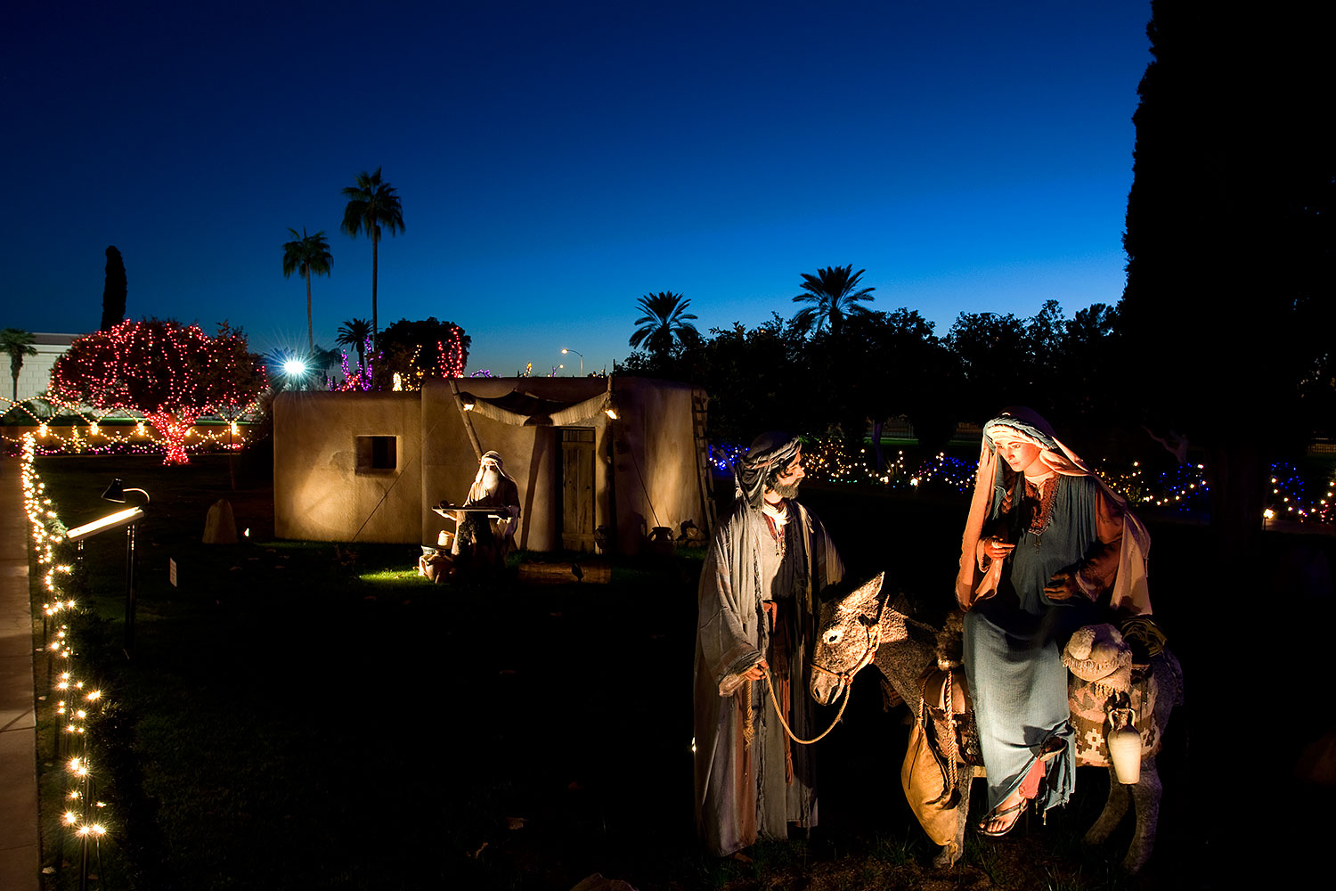 2008-12-31-mesa-temple-display-69908