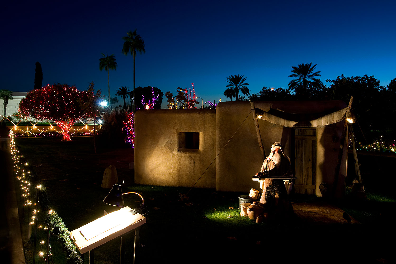 2008-12-31-mesa-temple-display-69910