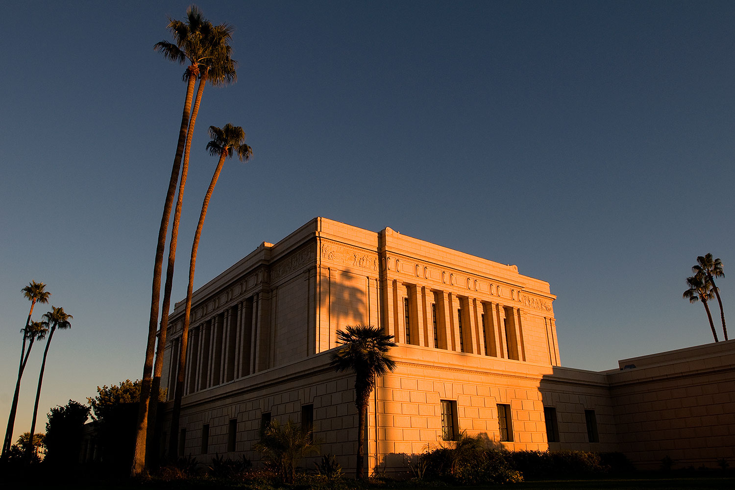 2008-12-31-mesa-temple-trees-69857