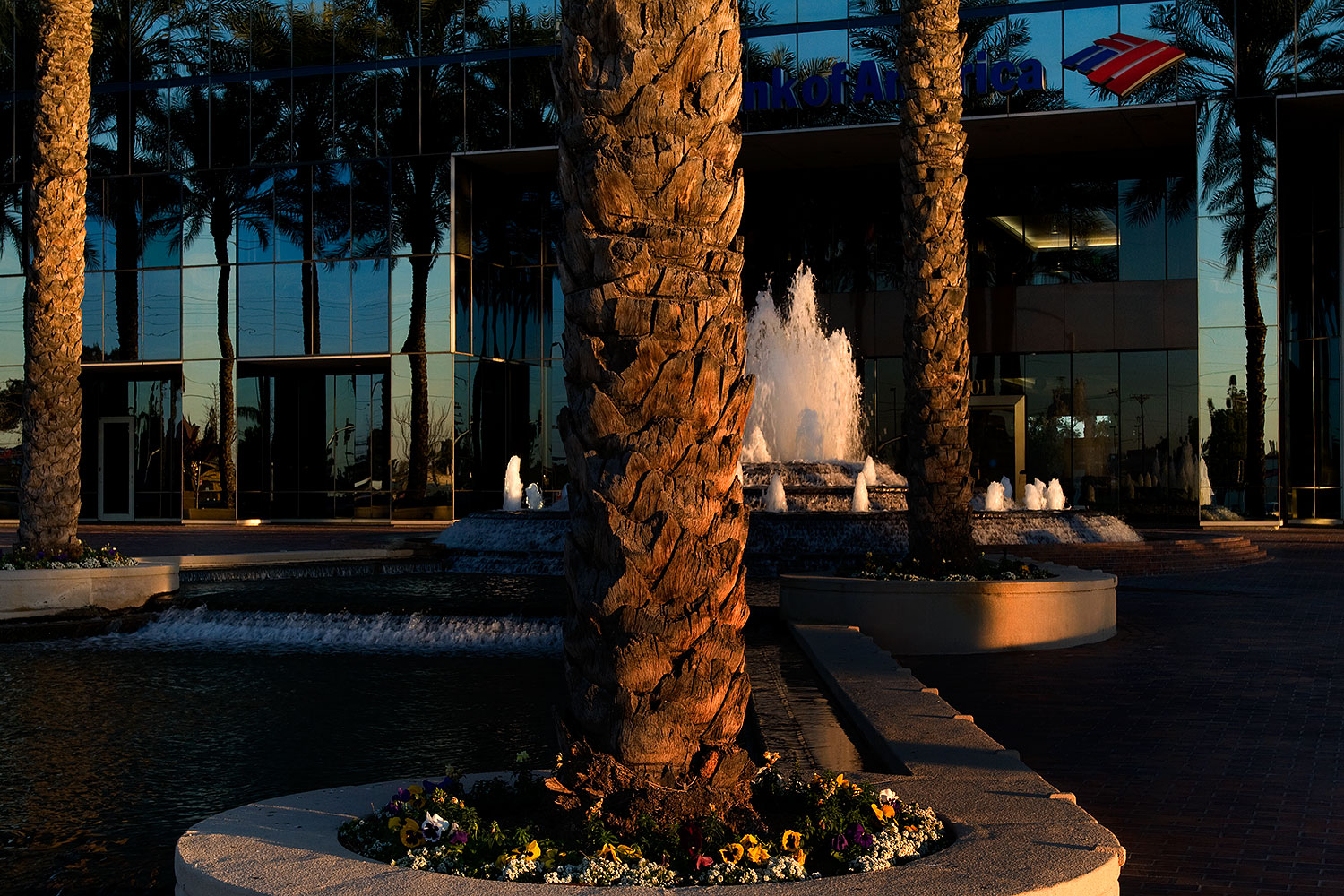 2009-01-06-mesa-fountains-72920