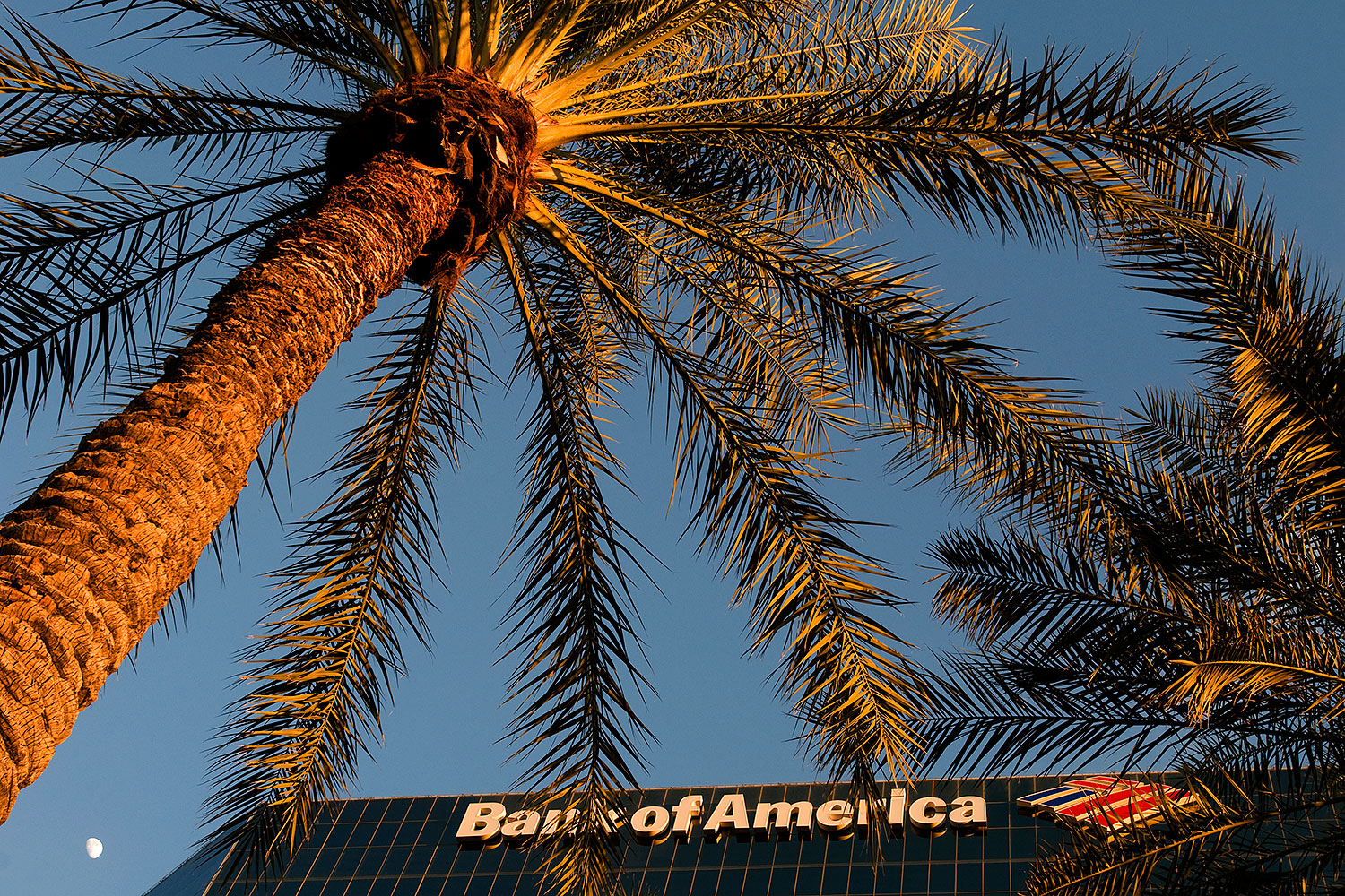 2009-01-06-mesa-fountains-72932