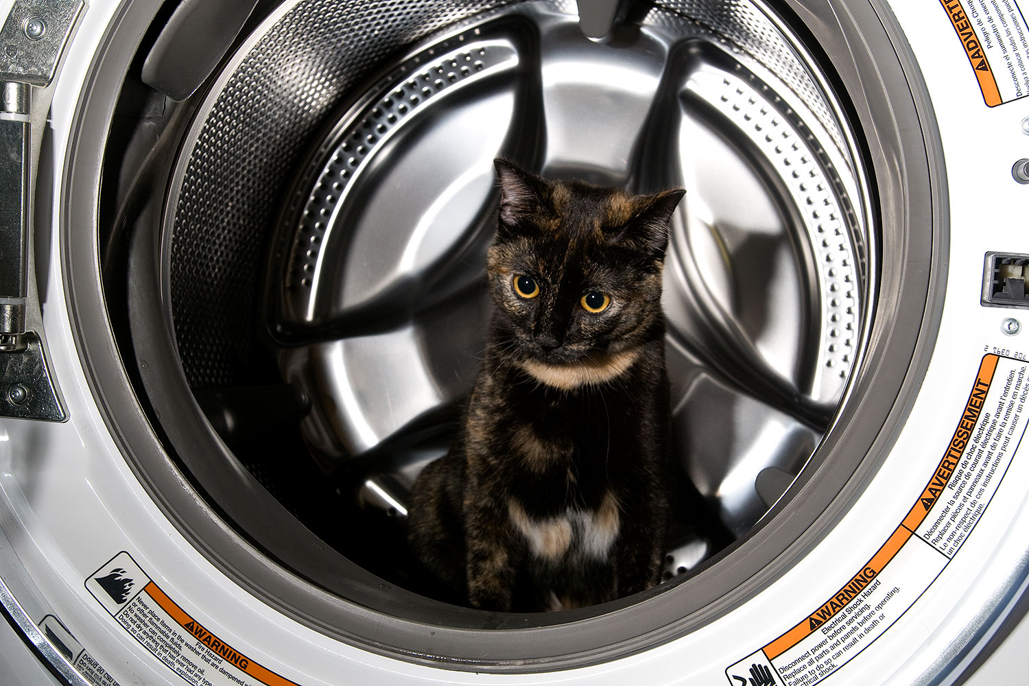 2009-01-06-tempe-sarafina-73045