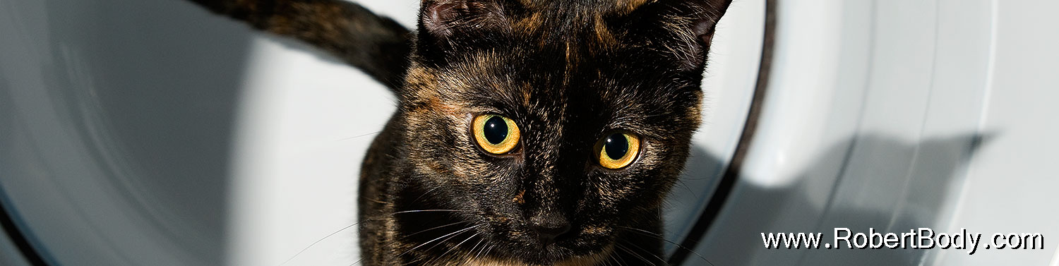 2009-01-07-tempe-sarafina-73220sp