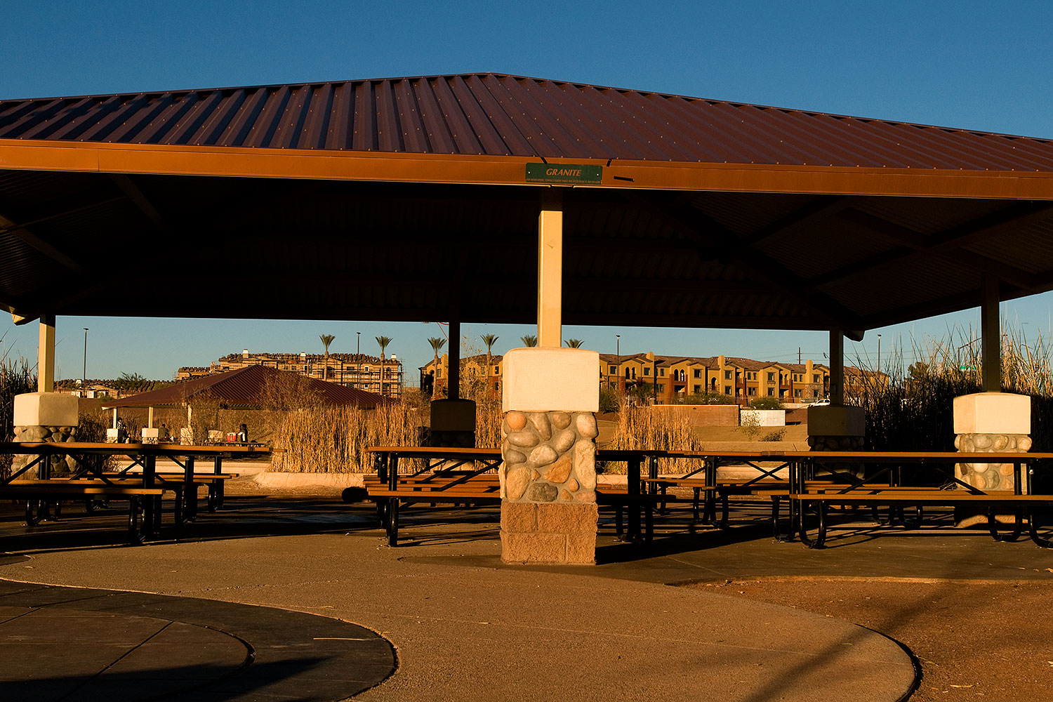 2009-01-10-gilbert-disco-74396