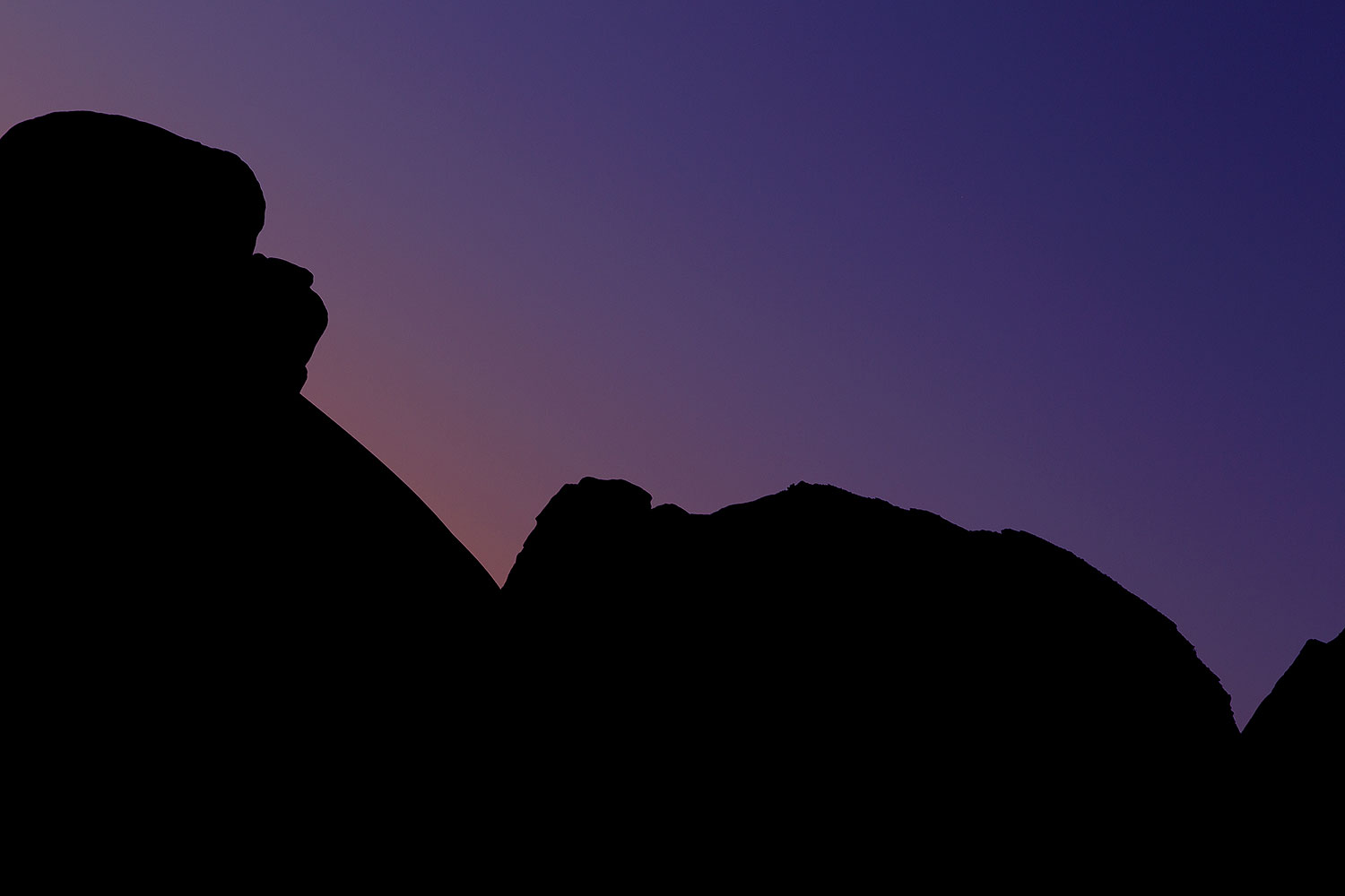 2010-09-02-monvalley-monkey-29482