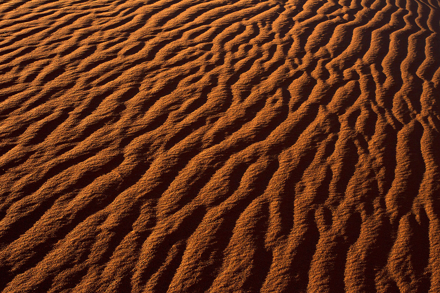 2010-09-03-monvalley-sand-30067