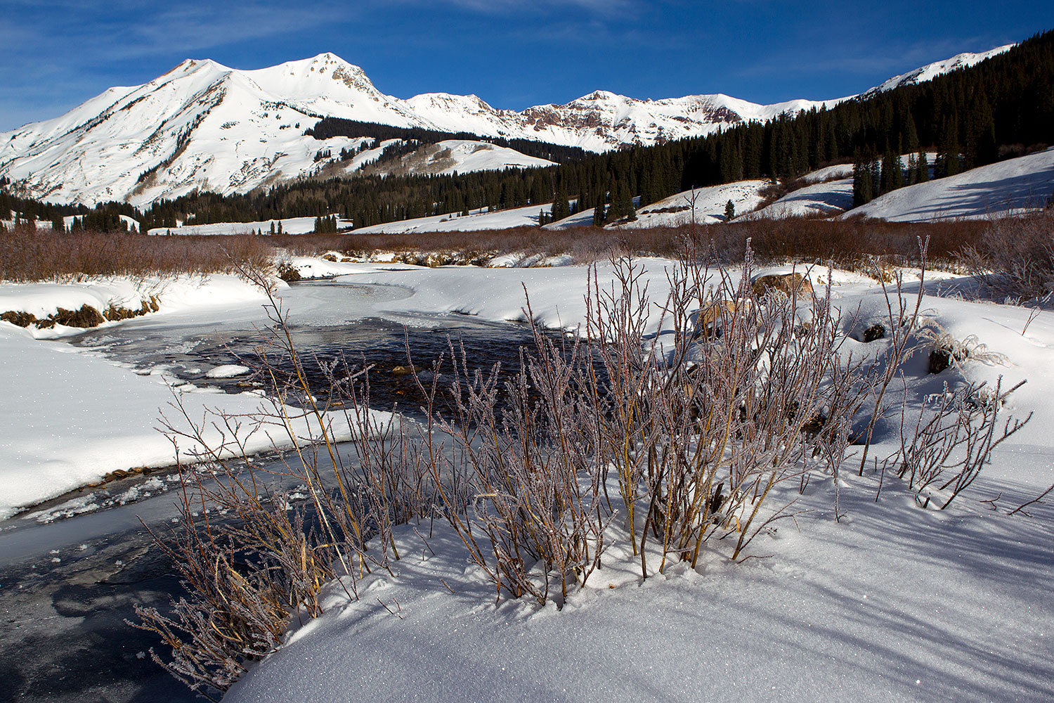 2010-11-19-crested-butte-river-43710