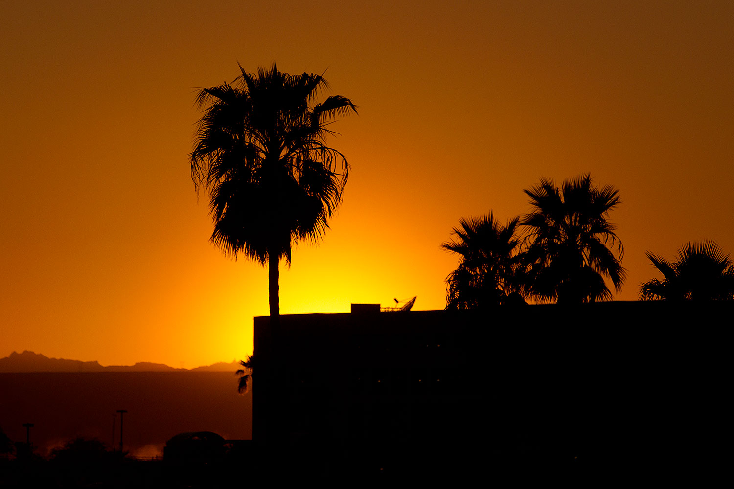 2011-04-01-havasu-sunset-palms-65489