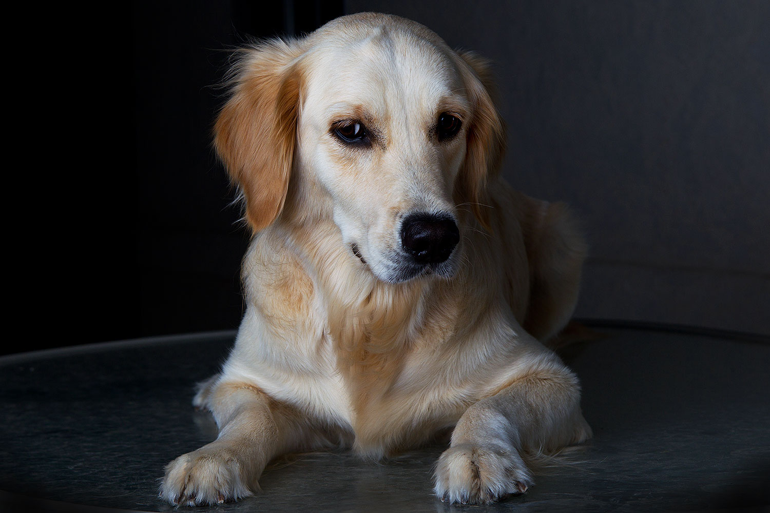 2011-05-19-bella-portraits-71070