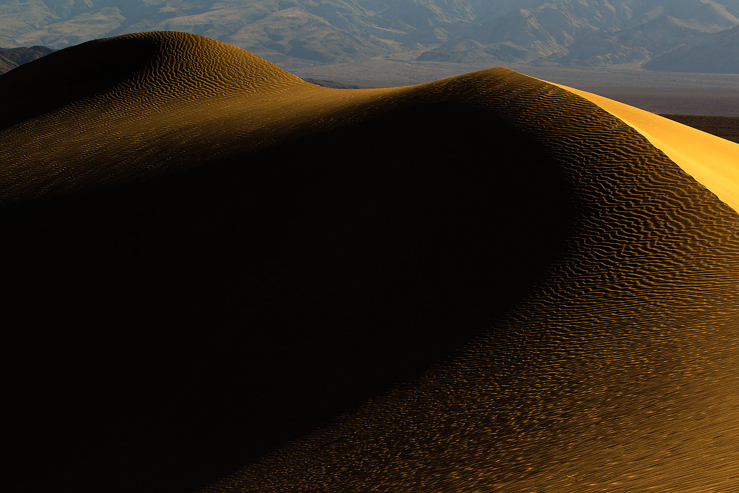2011-05-27-dv-mesquite-dunes-72088