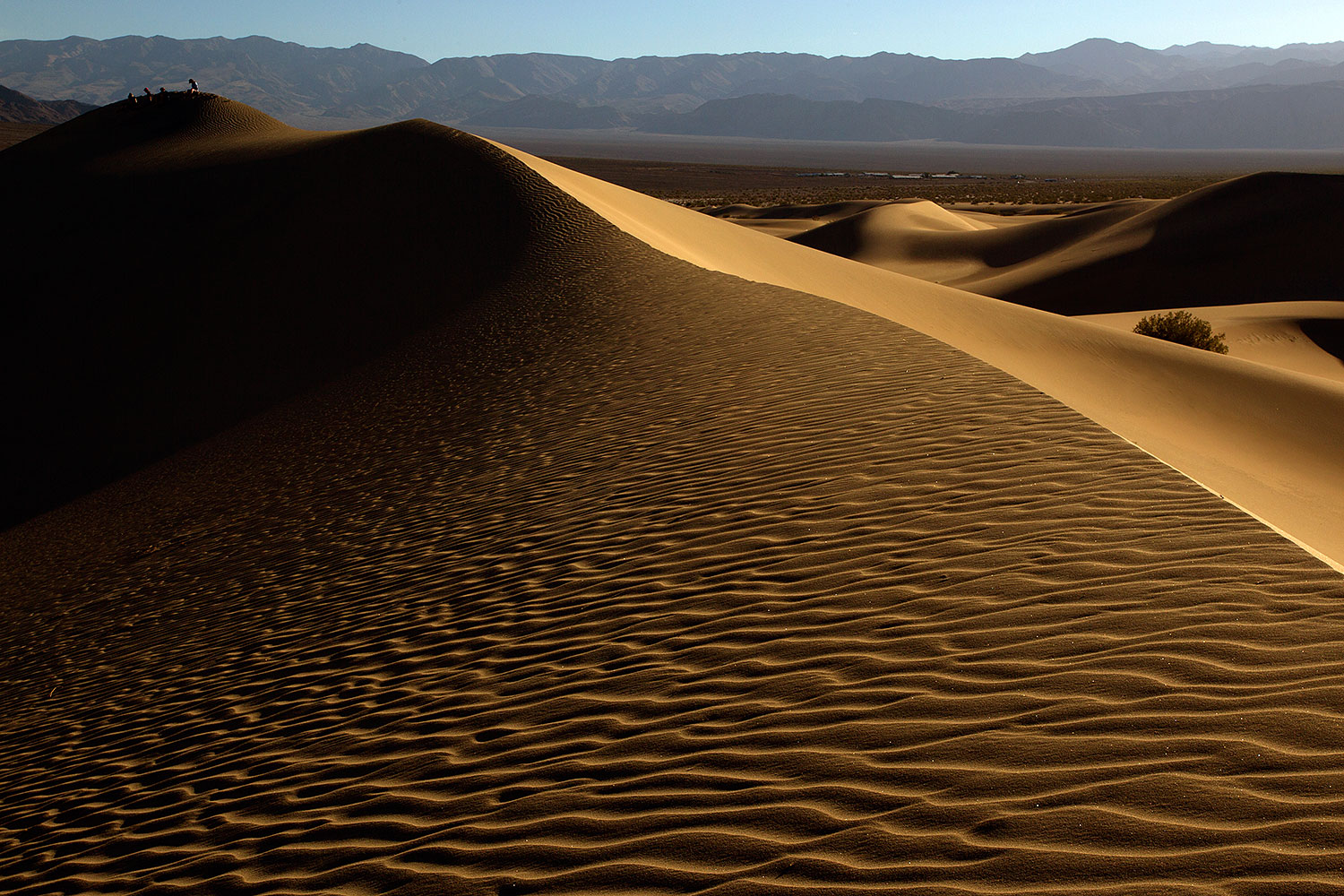 2011-05-27-dv-mesquite-dunes-72133