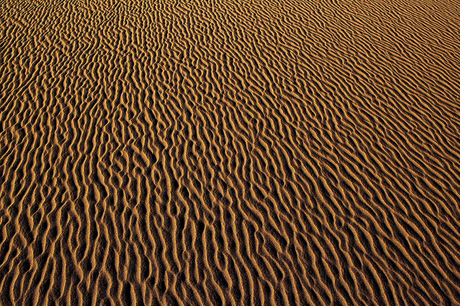 2011-05-27-dv-mesquite-patterns-72237