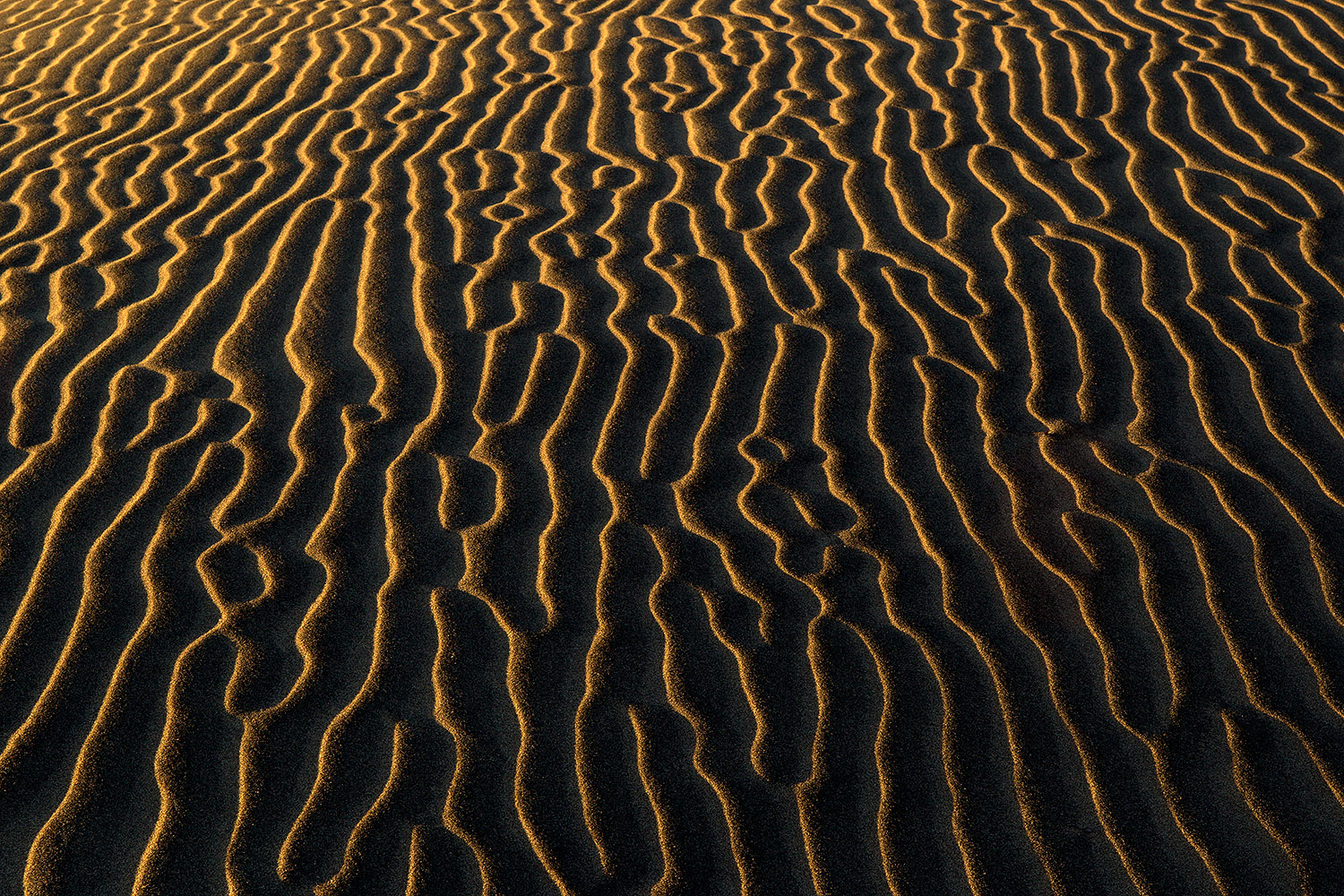 2011-05-27-dv-mesquite-patterns-72254