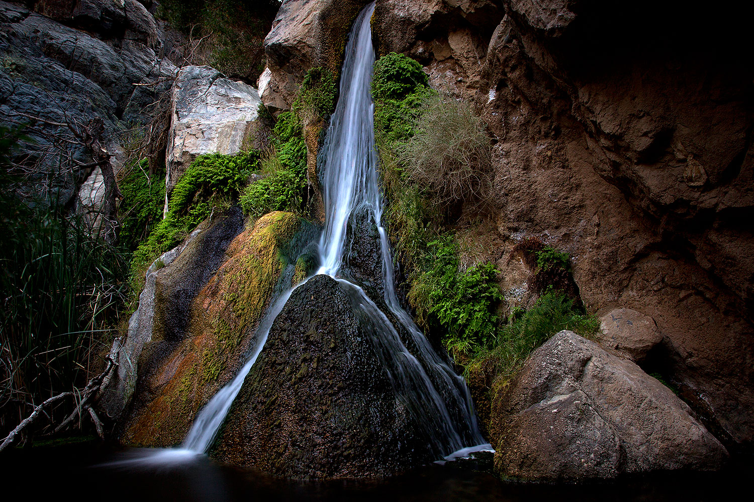 2011-06-17-dv-darwin-lower-77113