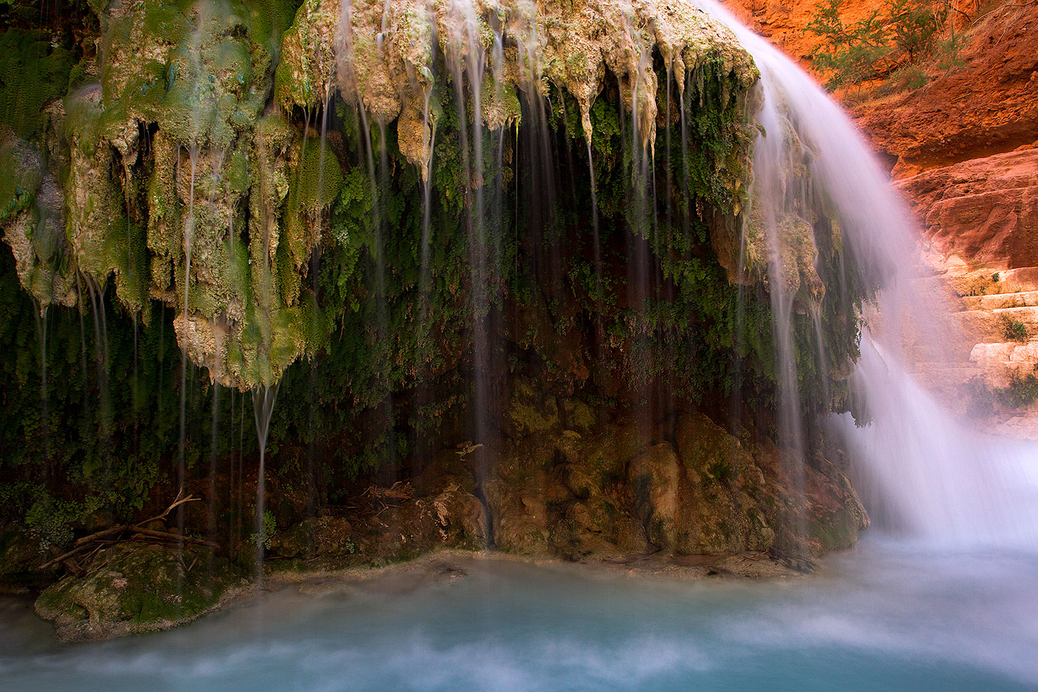 2011-06-25-havasu-beaver-79617