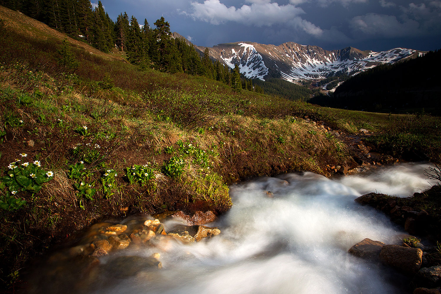 2011-07-06-loveland-creek-81653