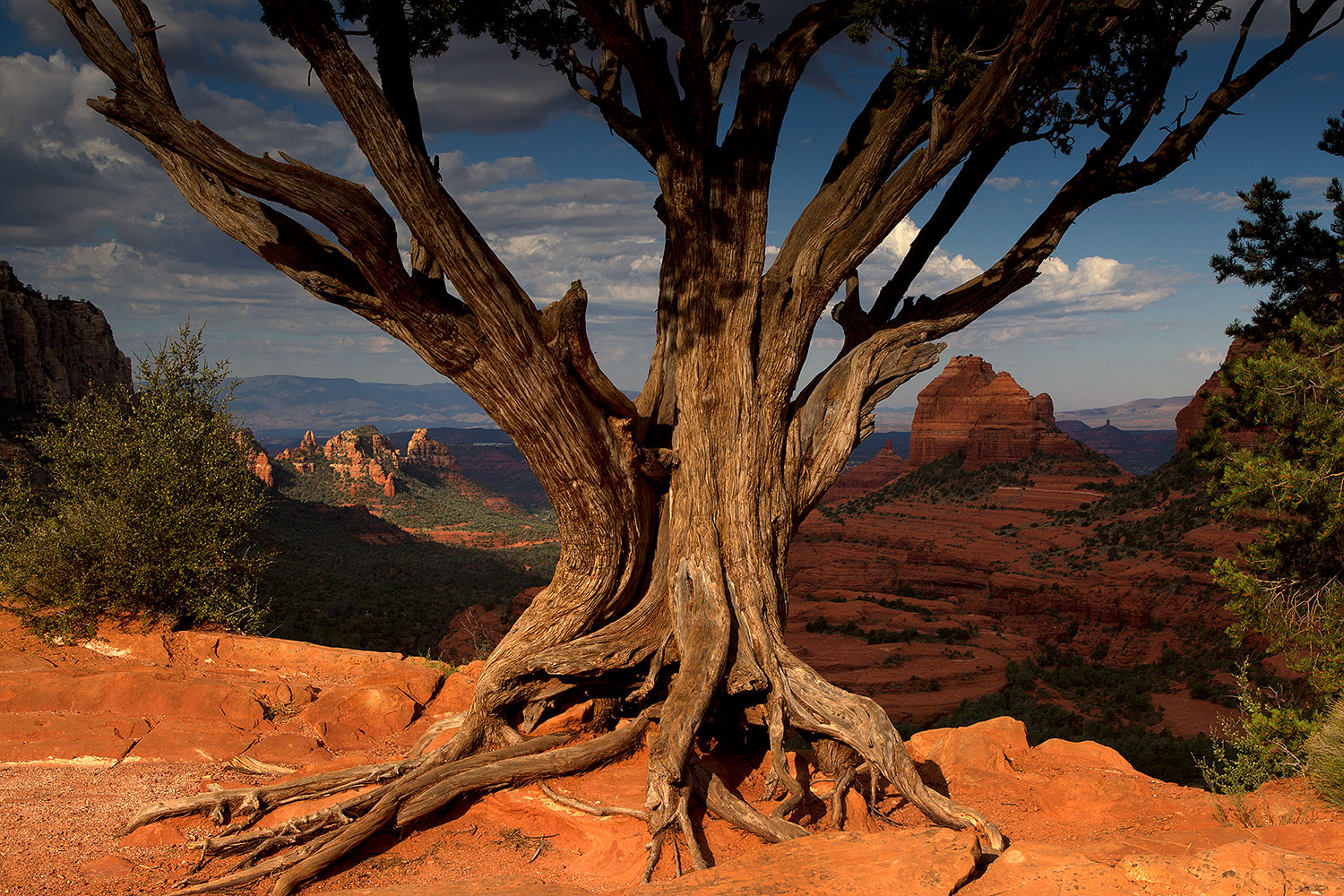 2011-09-08-sedona-schnebly-93102