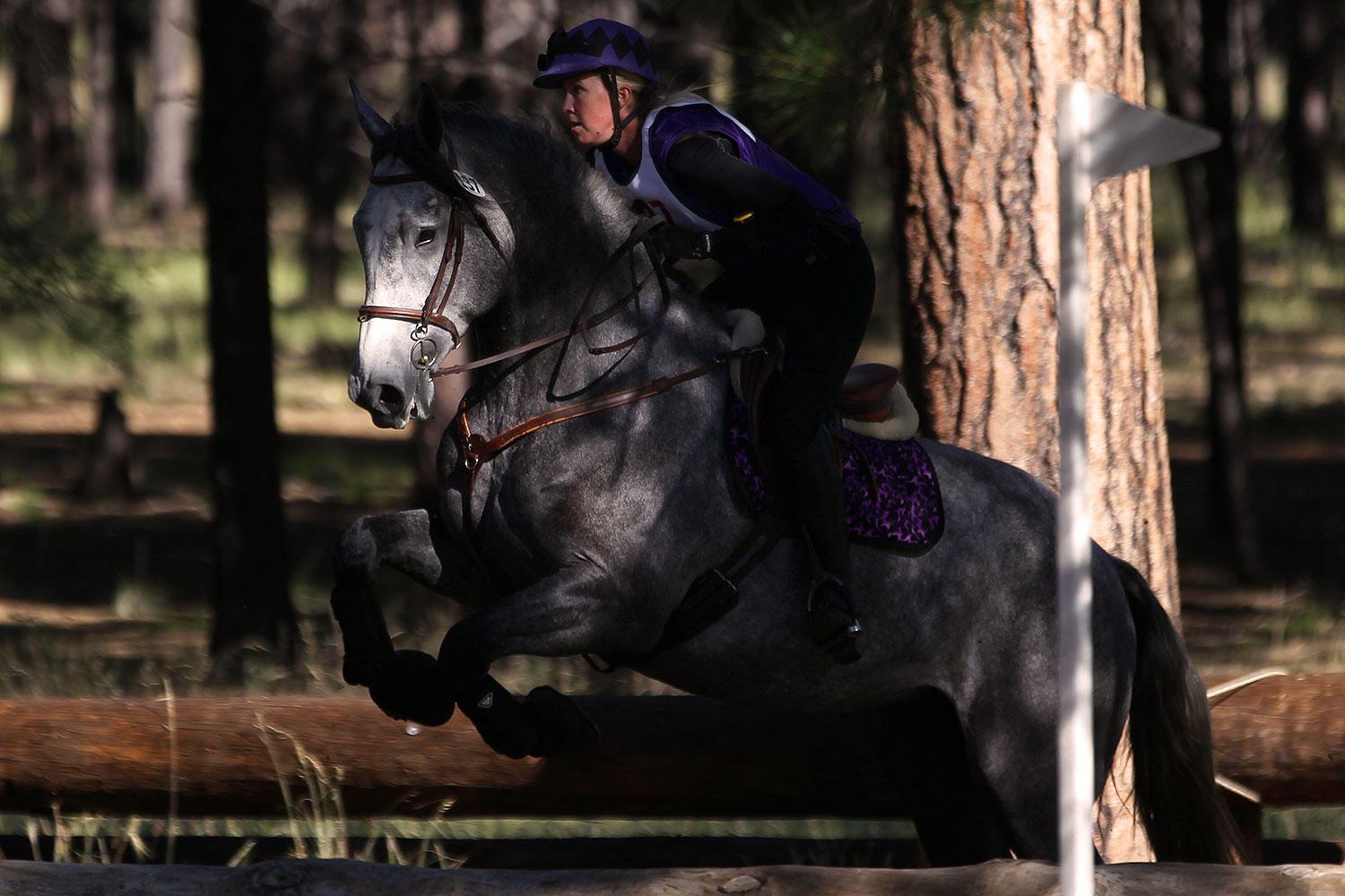 2011-09-18-flagstaff-xcountry-98222