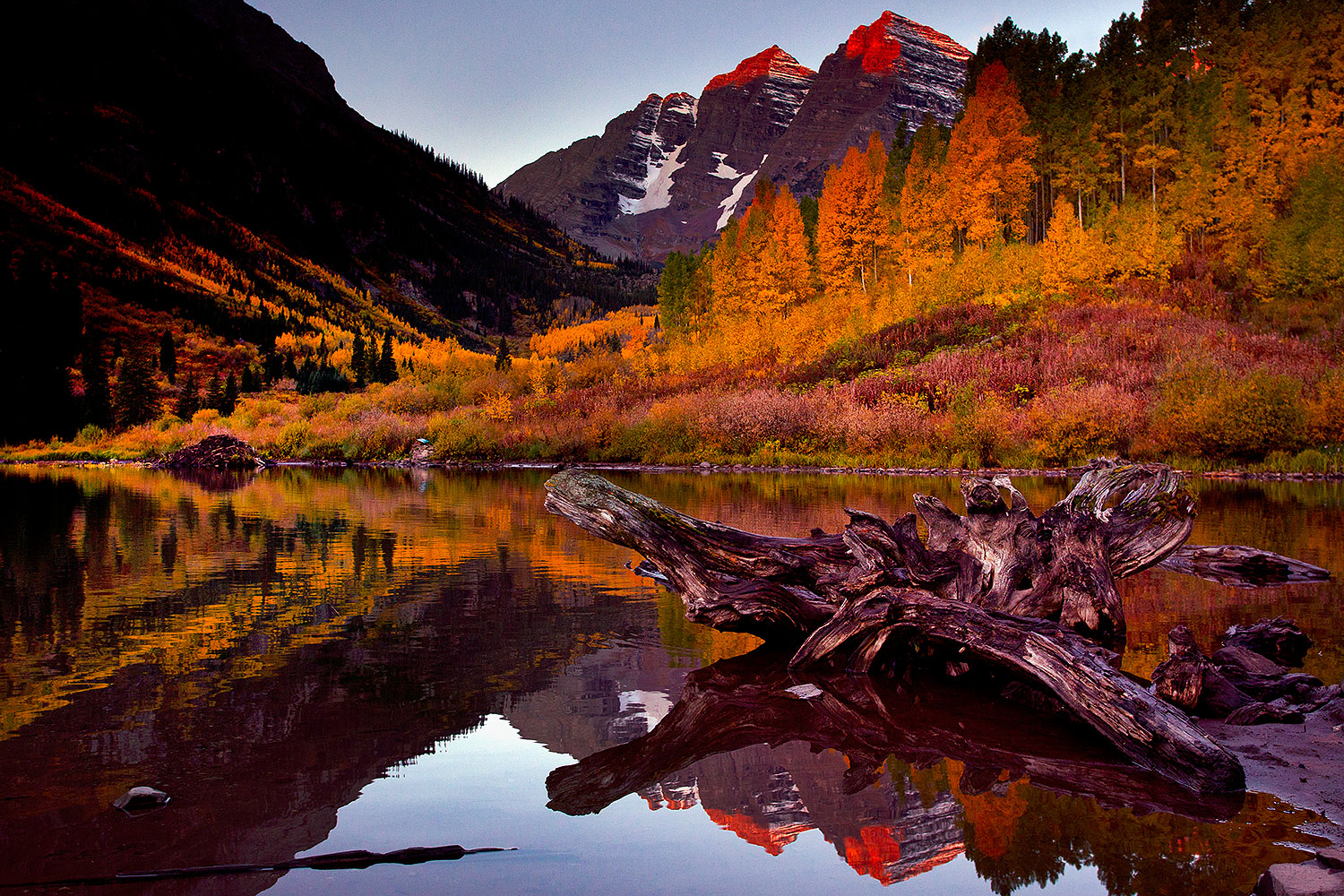 2011-10-03-maroon-log-103847