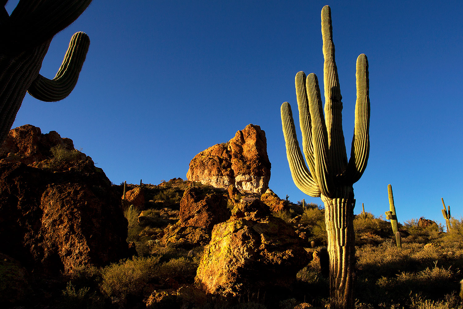 2012-03-15-supers-rock-view-148764