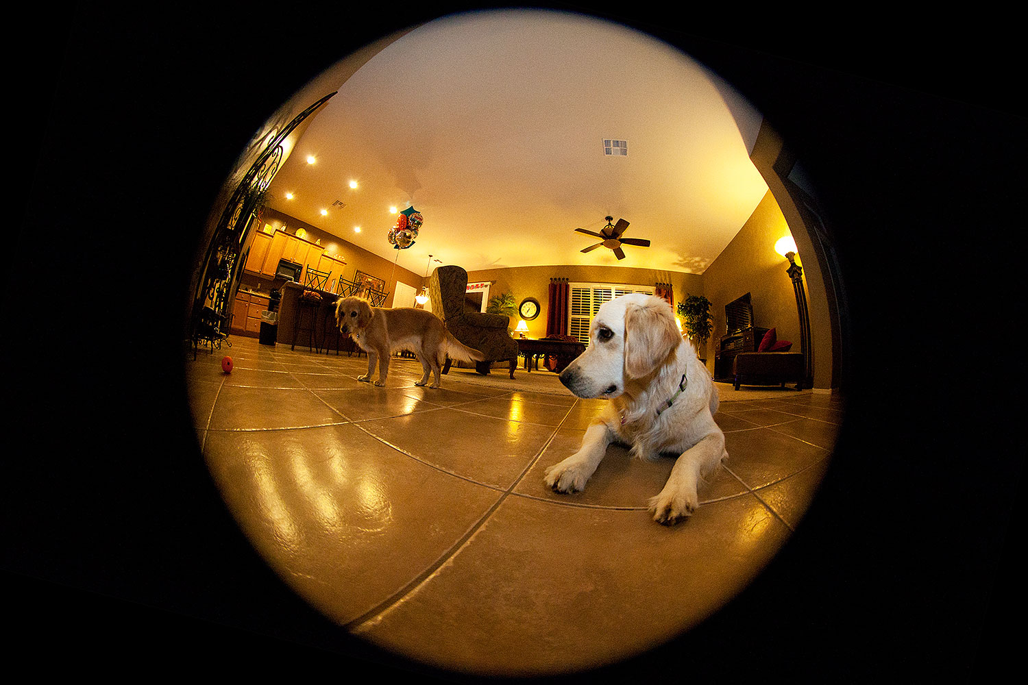 2012-04-12-bella-fisheye-5d2_0265