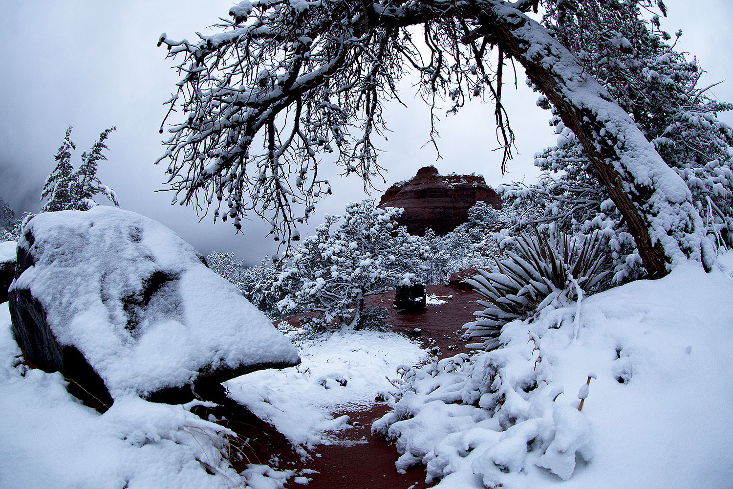 2012-04-14-sedona-snow-fishe-5d2_0313