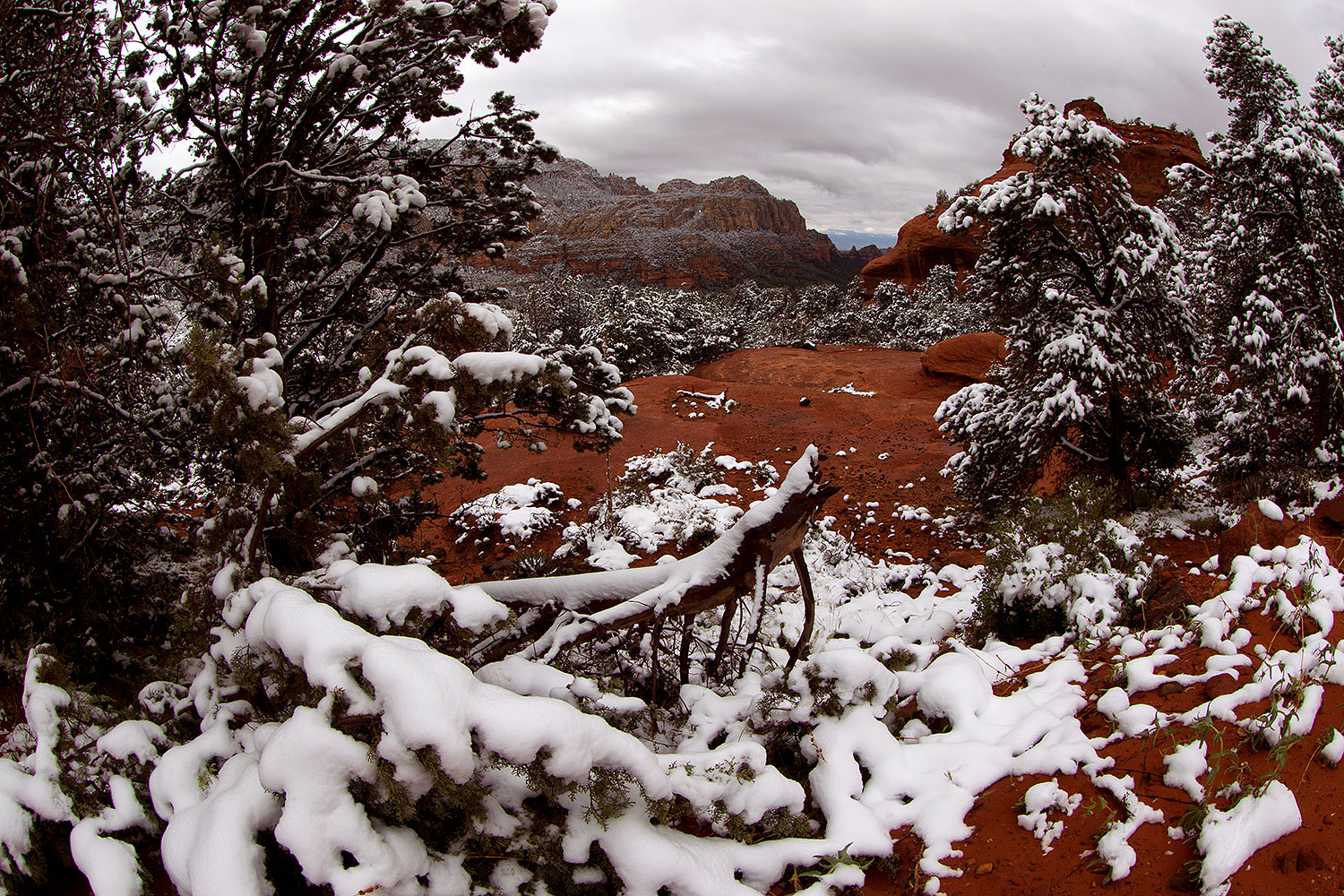 2012-04-15-sedona-schnebly-154309