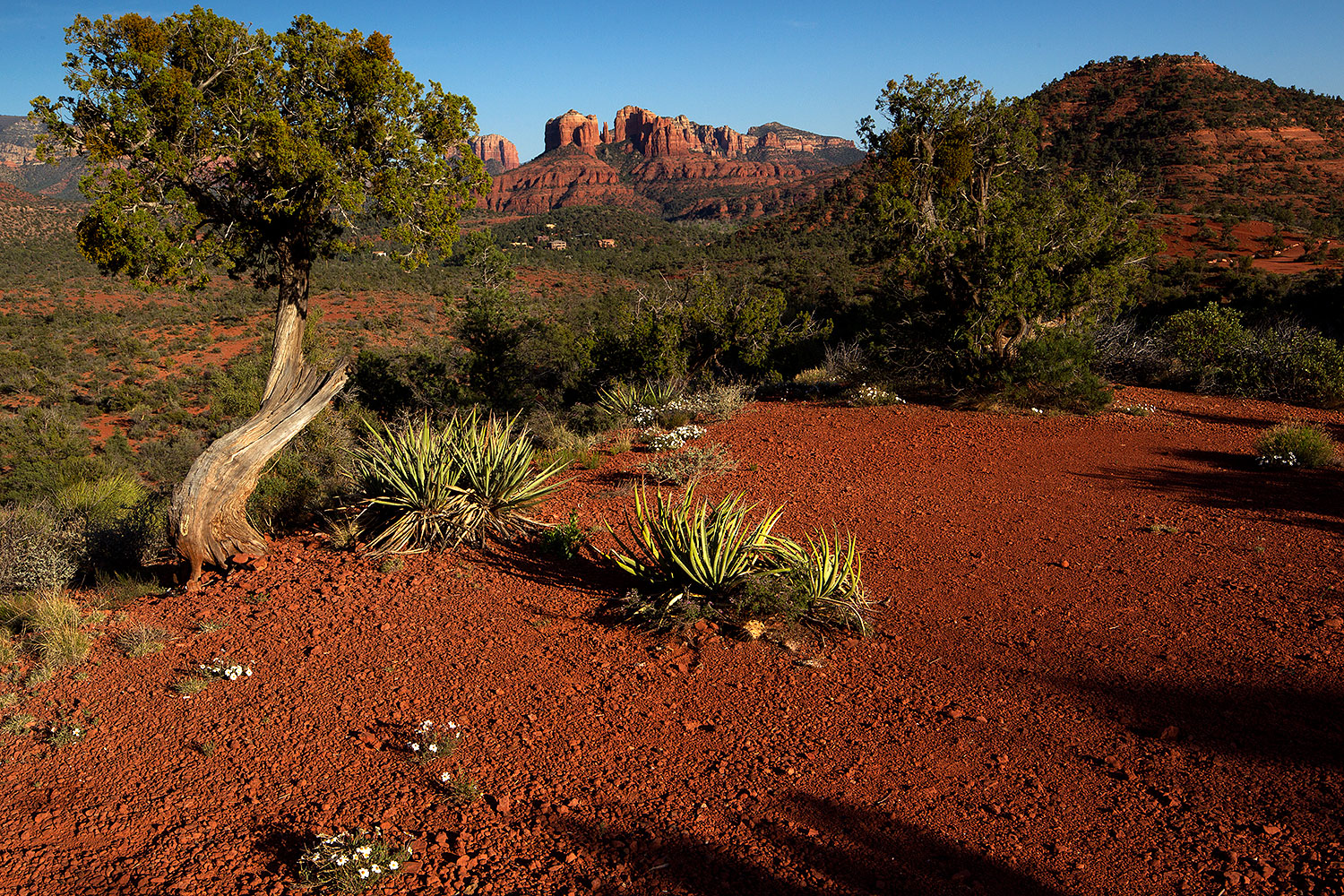 2012-04-16-sedona-cathedral-154702